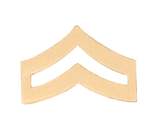 PREMIER EMBLEM | Police Chevron | Chevrons Insignia | Premier Uniform ...